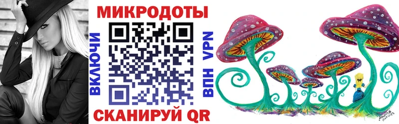 Галлюциногенные грибы Psilocybe Тотьма